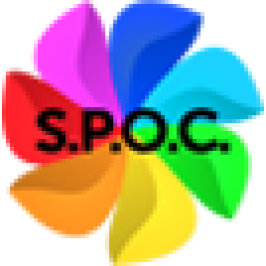 S.P.O.C. (Единая точка доступа) 