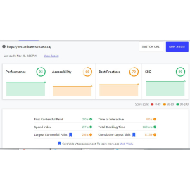 Оптимизация скорости работы Shopify магазина