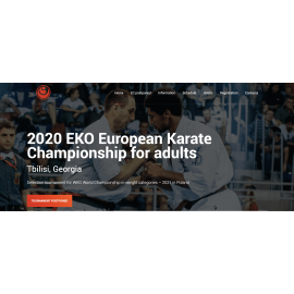 Промо-сайт чемпионата Европы