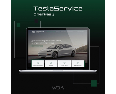 TeslaService.best
