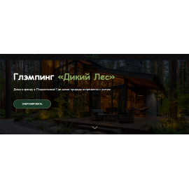 WildForest Camp