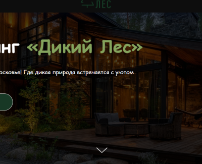 WildForest Camp
