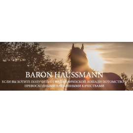 BARON HAUSSMANN
