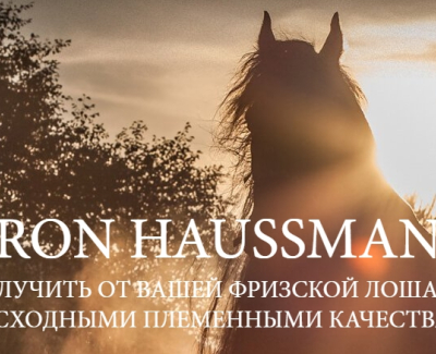 BARON HAUSSMANN