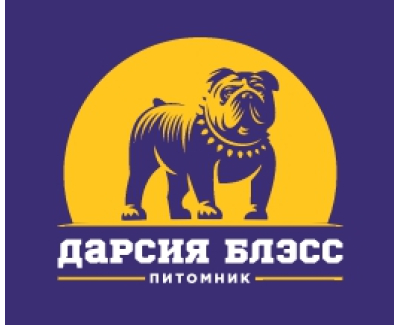 Дарсия Блэсс Питомник