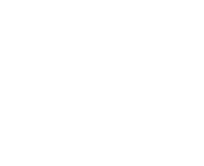 IT system