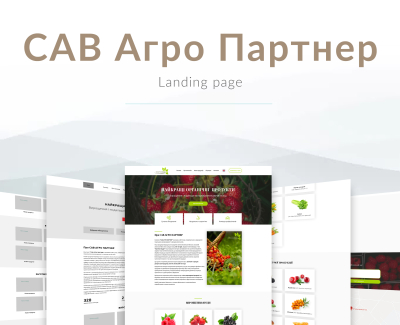 Landing page 