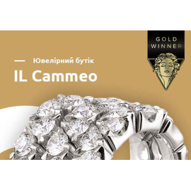 ilcammeo.ua