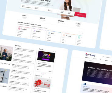 SEO развитие IT сервиса-портала