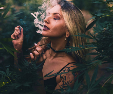 Разработка сайта для LESTORSEEDS