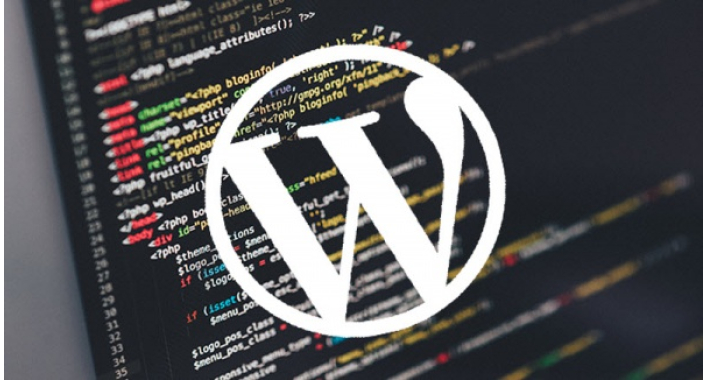 Какие плагины на WordPress помогут ускорить скорость загрузки сайта?