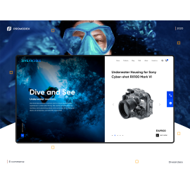 Dive and Sea