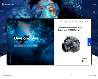 Dive and Sea