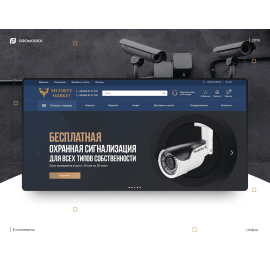 Охранный холдинг