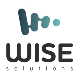 Wise Solutions