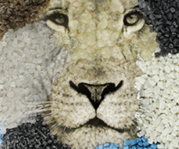 Разработка адаптивного сайта для компании Lion Recycling Ukraine