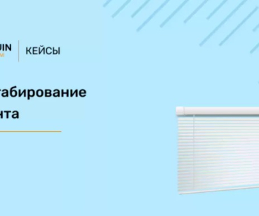 Кейс Google Ads: максимизация результата