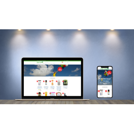 Создали интернет магазин + таргет FB и Google