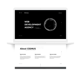 Корпоративний веб-сайт для Cedrus IT House