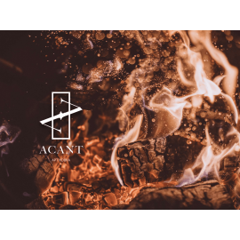 Разработка логотипа и сайта для компании ACANT