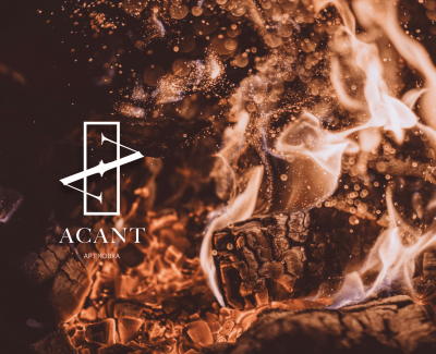 Разработка логотипа и сайта для компании ACANT