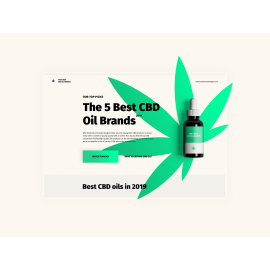 The 5 Best CBD Oil Brands