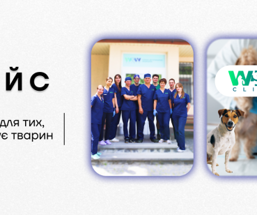 SMM для ветеринарної клініки