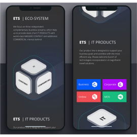 ETS international GmbH