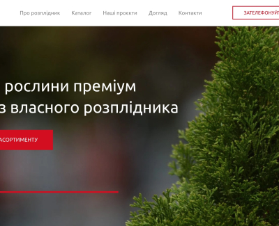 Хвойні рослини