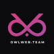 OwlWeb.Team