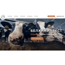 Белхиминвест