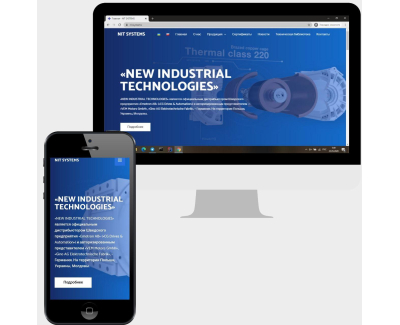NIT SYSTEMS