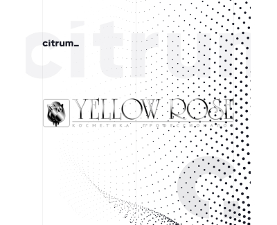 Yellow Rose