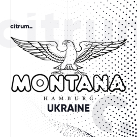 Montana UA