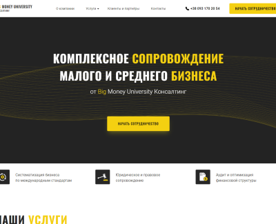 BigMoney Consult