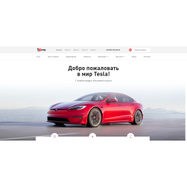 TeslaPark