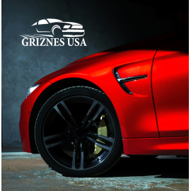 Griznes USA 