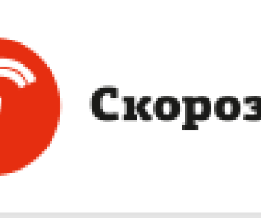 Кейс продвижения сайта Скорозвон
