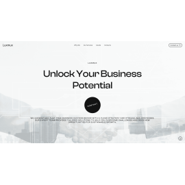 LUXMUX LTD
