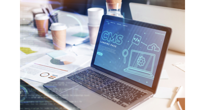 Headless CMS як інвестиція: коли архітектура починає приносити гроші