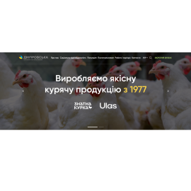 Дніпровська