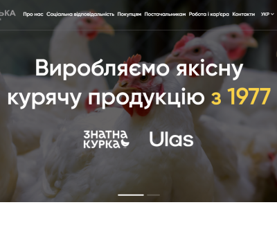 Дніпровська
