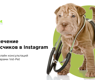Набор 10 000 подписчиков в Instagram для онлайн-сервиса Vet-Pet 