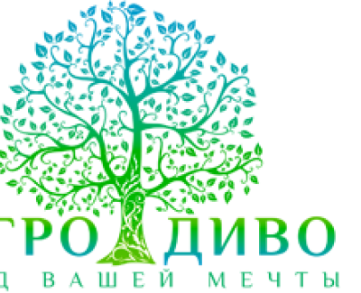 Агро Диво