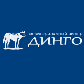Сайт ветеринарной клиники 