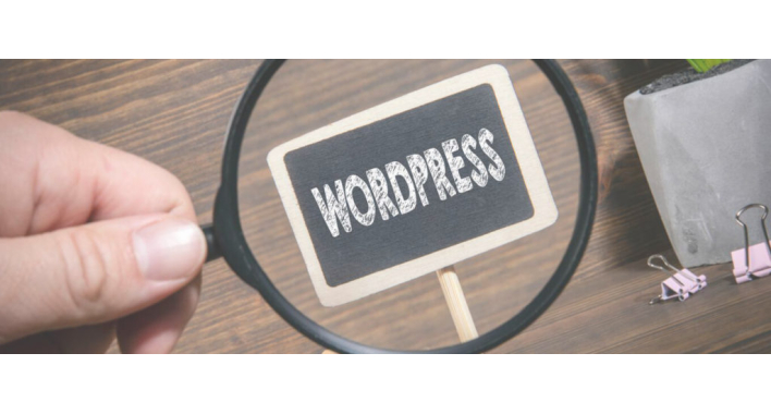 WordPress универсальное решение для экономии бюджета