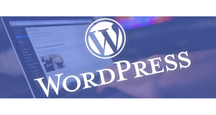 Разработка сайта на WordPress