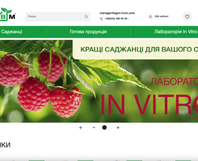 Интернет-магазиг саженцев и рассады