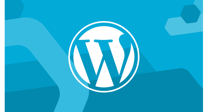 Стоит ли создавать сайт на wordpress? Плюсы и минусы CMS WordPress