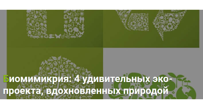 Биомимикрия: 4 удивительных эко-проекта, вдохновленных природой